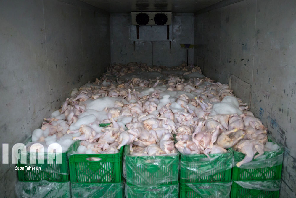 بسته‌بندی محصولات پروتئینی