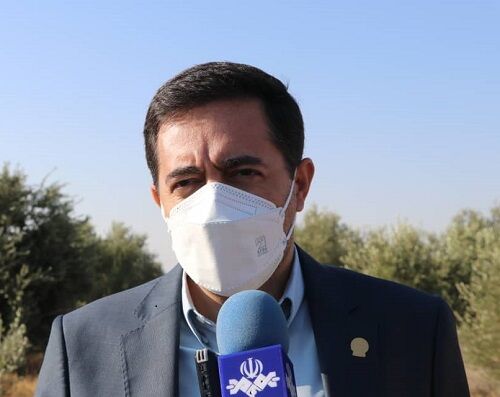 صنایع تبدیلی و تکمیلی زیتون در زرین دشت راه اندازی می شود
