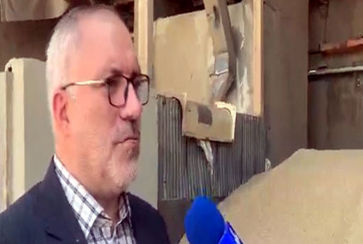 خرید 410 هزار تن گندم در آذربایجان شرقی