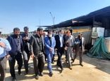 بازدید وزیر جهاد کشاورزی از دامداری ۵۵۰۰راسی گاو شیری در اسلامشهر