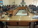 «تولید و اشتغال» مهاجرت معکوس در بیجار را رقم می‌زند
