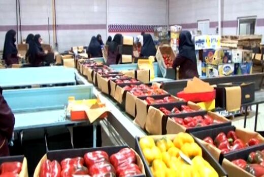 «تیران» و «کرون» قطب تولید محصولات گلخانه‌ای در اصفهان