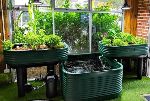 مصرف آب کم‌تر؛ مزیت کشت آکواپونیک