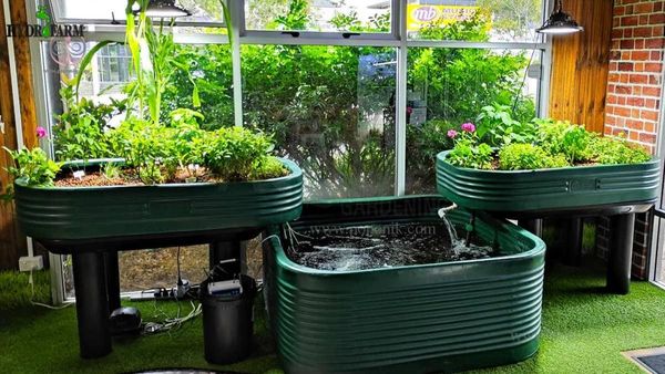 مصرف آب کم‌تر؛ مزیت کشت آکواپونیک