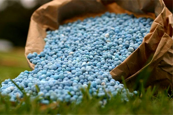ذخیره سازی مناسب کودهای کشاورزی یارانه ای در استان قم