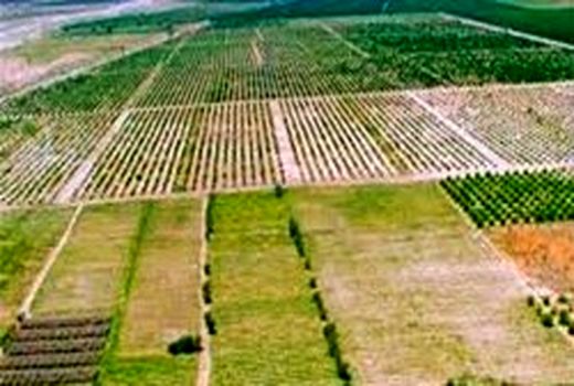 نقشه کاداستر ۳۲ هزار و ۵۰۷ هکتار اراضی خراسان شمالی تهیه شد