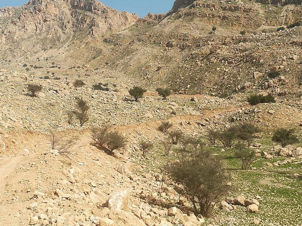 ویلاسازی در منطقه حفاظت‌شده خائیز غیر قانونی است