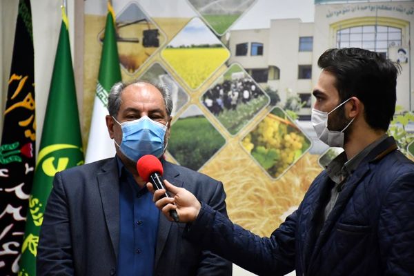 قیمت تضمینی خرید گندم 7500 تومان اعلام شد/ افزایش 50 درصدی قیمت خرید تضمینی گندم