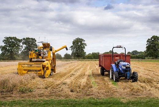 توسعه فعالیت‌های کشاورزی در صدر ثبت تعاونی‌ها