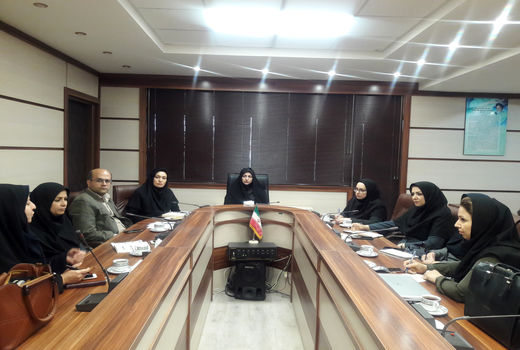 زنان کارآفرین روستایی حمایت می شوند 