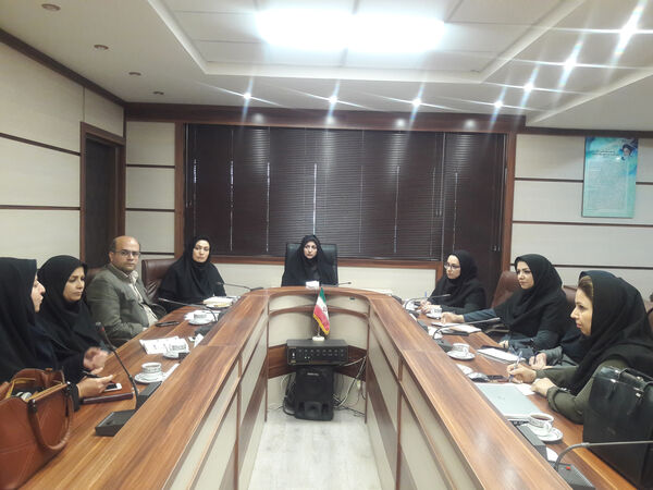 زنان کارآفرین روستایی حمایت می شوند 
