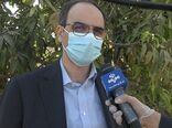 مشکلات نهاده های رسوبی در گمرکات مرتفع شد/ مشکلی برای تامین نهاده دام و طیور در کشور وجود ندارد