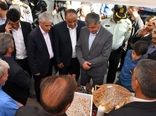 نخستین جشنواره بادام خسروشاه با هدف توسعه کشت کم‌آب‌بر برگزار شد