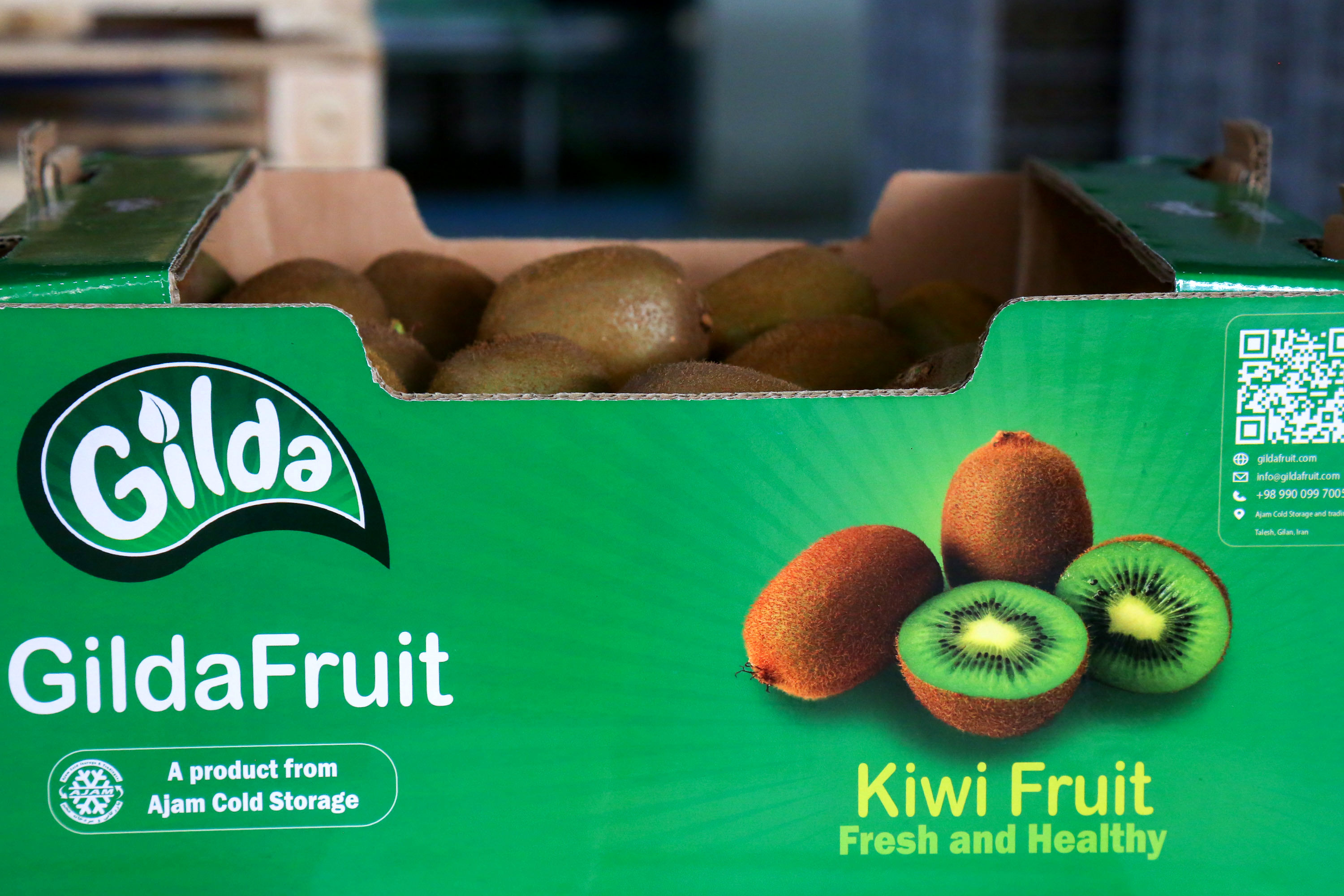  میوه ای شگفت انگیز به نام کیوی 