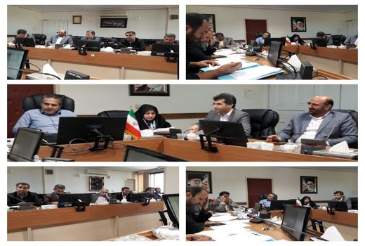 پلاکهای دارای تداخل در شهرستان های ورامین، فیروزکوه و شمیرانات تعیین تکلیف شد