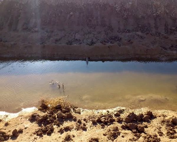  اهمیت مدیریت زهکشی در اراضی شور خوزستان