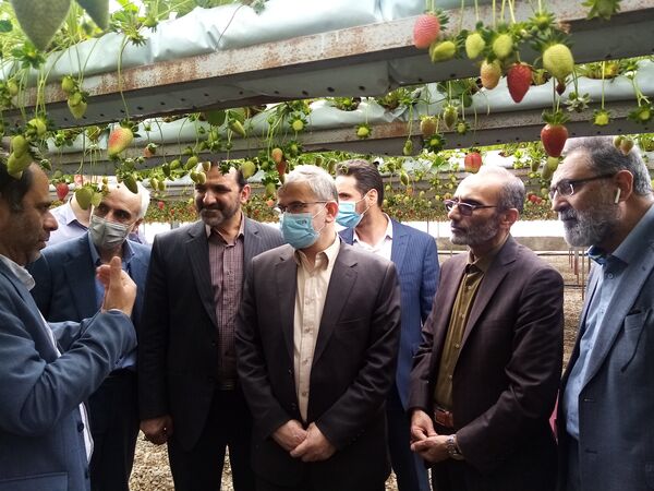 بازدید استاندار البرز از واحدهای بخش کشاورزی شهرستان نظر آباد