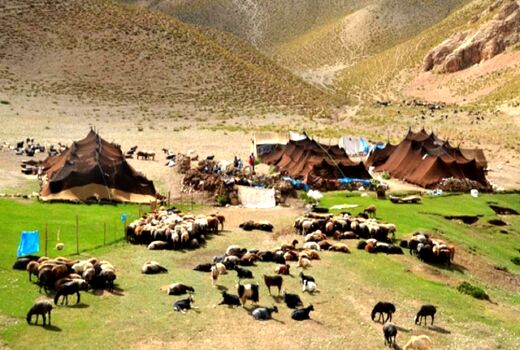 جمعیت عشایر چهارمحال و بختیاری به ۱۱۸ هزار و ۹۰۰ نفر رسید