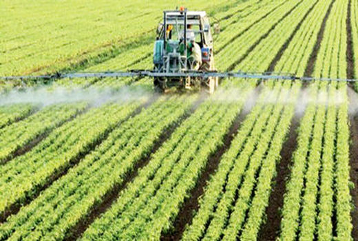 لزوم اجرای طرح کشاورزی قراردادی در خراسان شمالی