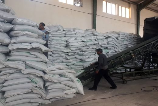 تخصیص کود شیمیایی به ۴۱ محصول زراعی و باغی استان 