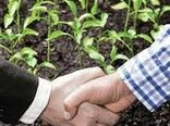 بررسی محصولات کشاورزی  سمنان با هدف توسعه کشاورزی قراردادی 