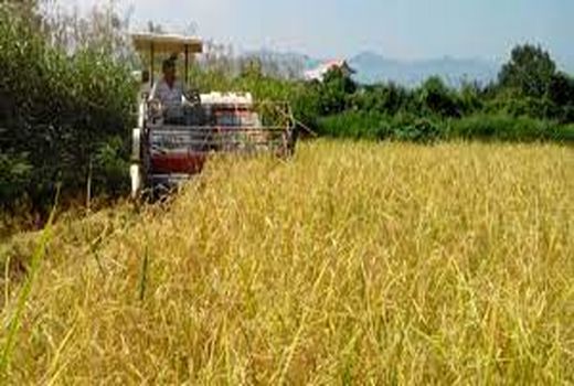 ۳۰ درصد کمباین های خراسان شمالی فرسوده است