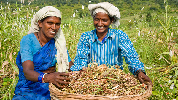 کشاورزی هوشمند راه حلی برای مبارزه با خشکسالی