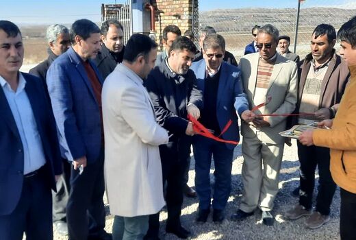 افتتاح گلخانه هیدروپونیک توت فرنگی در میانه
