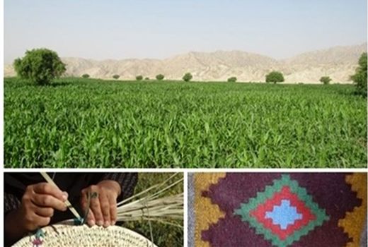 راه‌اندازی 11 صندوق خرد زنان در شهرستان آبدانان