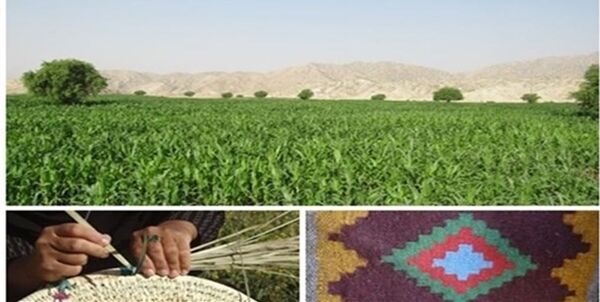 راه‌اندازی 11 صندوق خرد زنان در شهرستان آبدانان