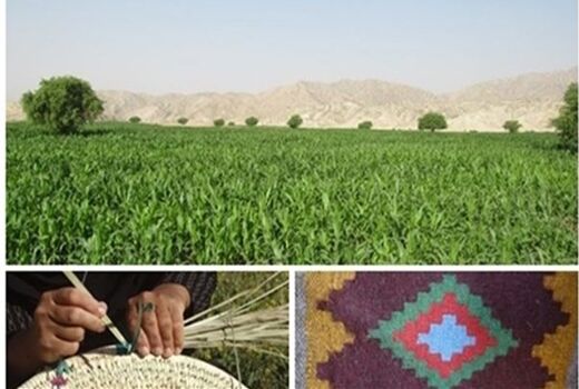 راه‌اندازی 11 صندوق خرد زنان در شهرستان آبدانان