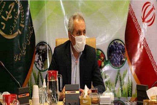 ۵۳۵ میلیارد تومان تسهیلات در بخش کشاورزی کردستان پرداخت شد