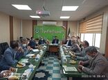 عرضه مستقیم محصولات کشاورزی در دستور کار تعاون روستایی قرار دارد