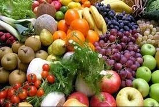 سهم تولید ناخالص زنجان در بخش کشاورزی بالاتر از میانگین کشوری است