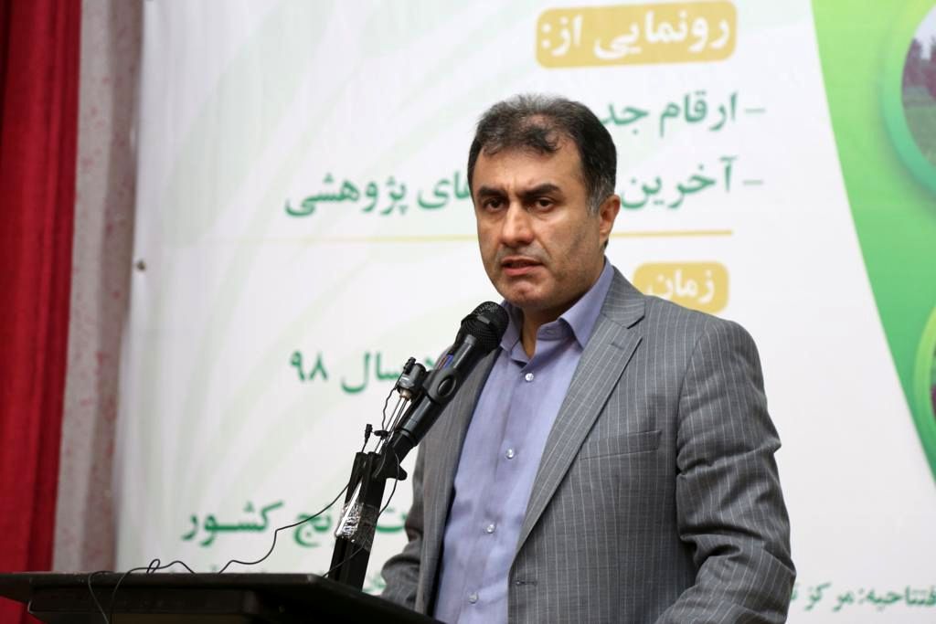 روز ملی برنج