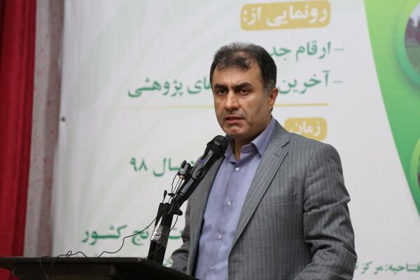 3.5 میلیون تن تولید محصولات کشاورزی در گیلان تولید می شود