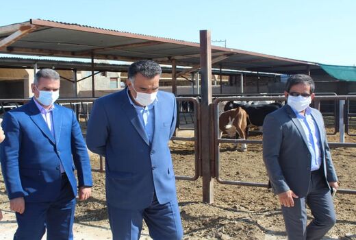 تکمیل زنجیره تولید، راهکاری مناسب برای کمک به تولیدکنندگان کشاورزی طبس