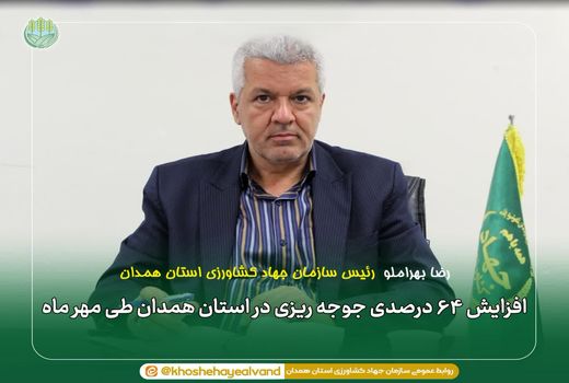 افزایش ۶۴ درصدی جوجه‌ریزی در استان همدان طی مهرماه