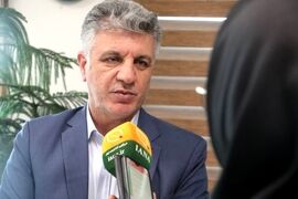 جوجه‌ریزی ۵ میلیونی در گلستان / هدف‌گذاری ۲۲.۵ هزار هکتاری برای کشت پنبه