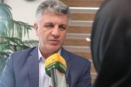 جوجه‌ریزی ۵ میلیونی در گلستان / هدف‌گذاری ۲۲.۵ هزار هکتاری برای کشت پنبه