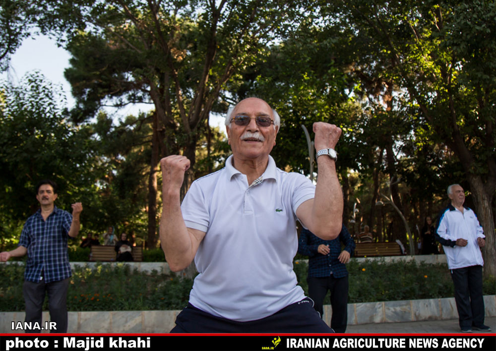 نرمش صبحگاهی