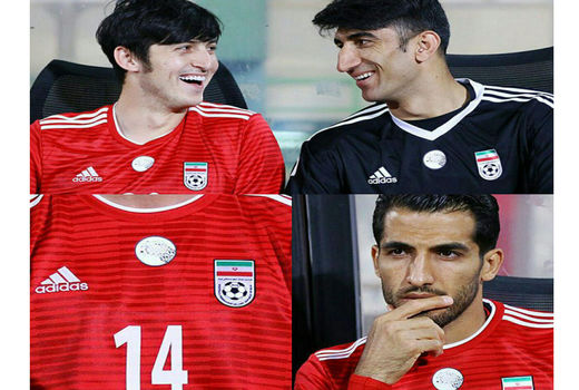 یک عکس برای نجات یوز کافی نیست 