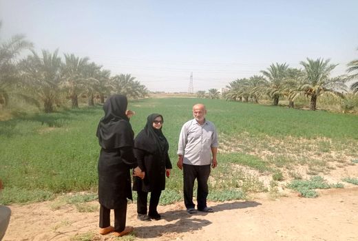  بازدید از 20 طرح مختلف در آبادان 