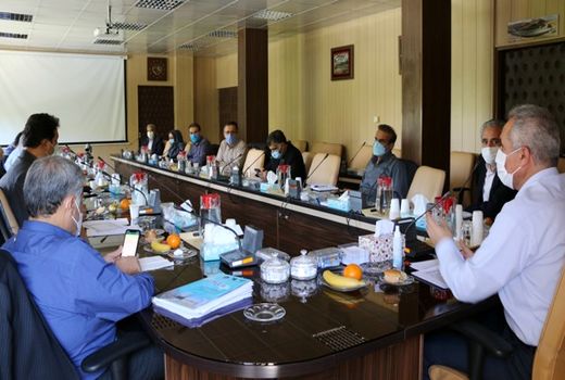 در سال مالی گذشته نزدیک به ۸۰ میلیارد تومان تسهیلات به تشکلهای بخش کشاورزی  پرداخت شد