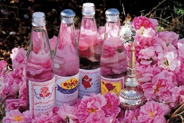 پیشبینی صادرات ۵۰۰ کیلوگرم اسانس گل محمدی از کاشان