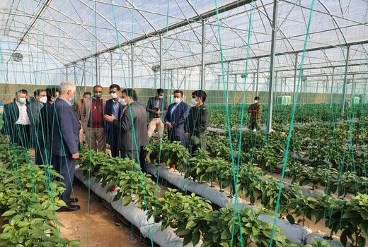 افتتاح دو طرح کشاورزی در  شهرستان کرمان، در ایام الله دهه فجر