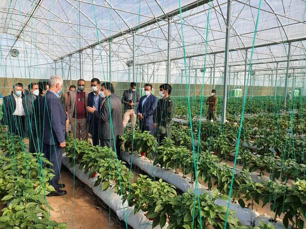 افتتاح دو طرح کشاورزی در  شهرستان کرمان، در ایام الله دهه فجر