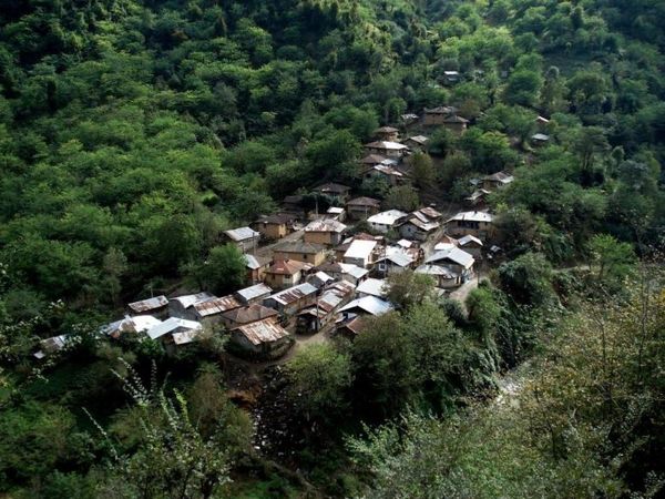 راه نجات جنگل‌ها تعامل دوستانه با روستاییان است