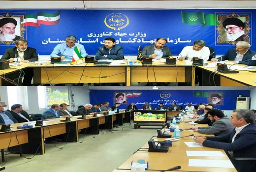 برگزاری جلسه مجمع نمایندگان گلستان در مجلس شورای اسلامی با فرمانده و اعضای قرارگاه امنیت غذایی استان