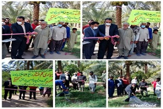 در ششمین روز از هفته جهاد کشاورزی طرح آبیاری کم فشار 53 هکتاری افتتاح شد